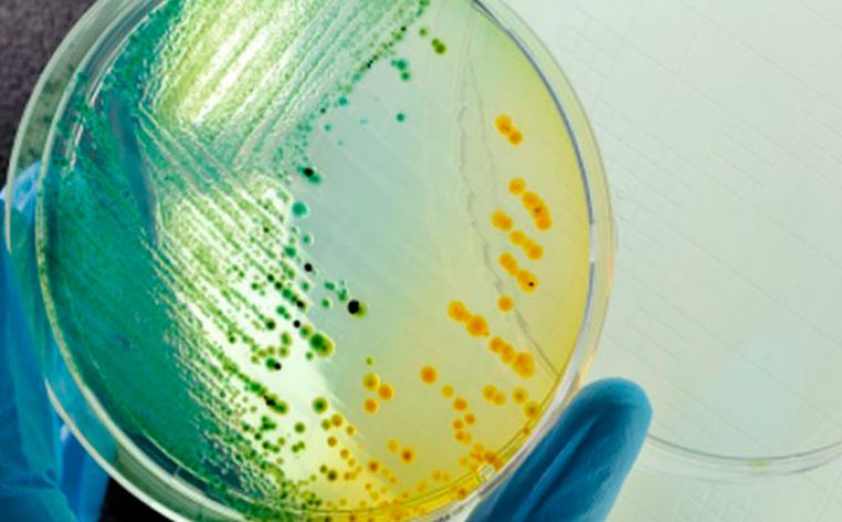 Se reduce la resistencia a antibióticos en los Estados Unidos