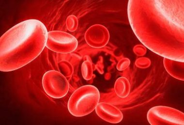 La hemoglobina: predictor del riesgo de fracturas en el adulto mayor