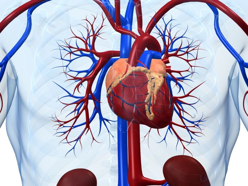 La hematopoyesis clonal se relaciona con la enfermedad coronaria