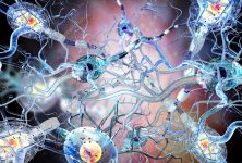 Congreso ECTRIMS – Abordando el sistema inmunológico en la esclerosis múltiple: Visión de un microbiólogo