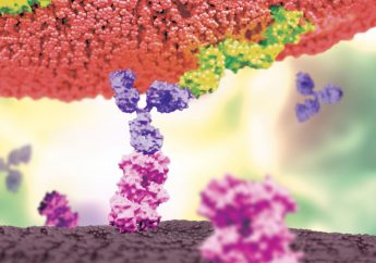 Estudio fase 1 de AMG 701 una molécula BiTE® (acoplador biespecífico de linfocitos T), de vida media extendida dirigida al antígeno de maduración de células B (BCMA) en mieloma múltiple (MM) recurrente/refractario (R/R)